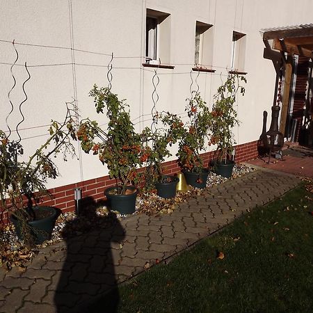 Pension Regenbogen Stralsund Ngoại thất bức ảnh